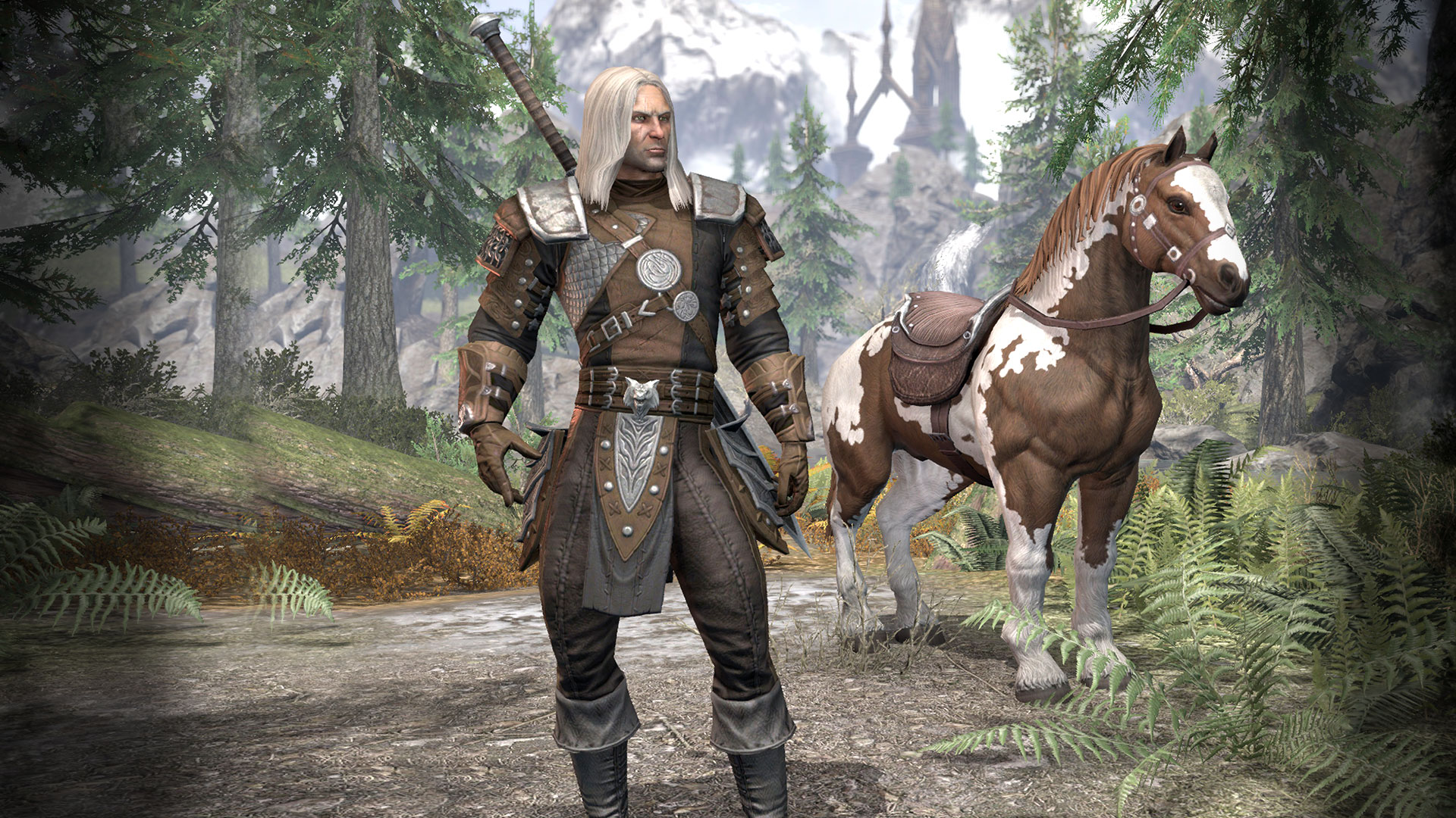 The Witcher – Geralt DD Build – Magicka / Ausdauer Hybrid