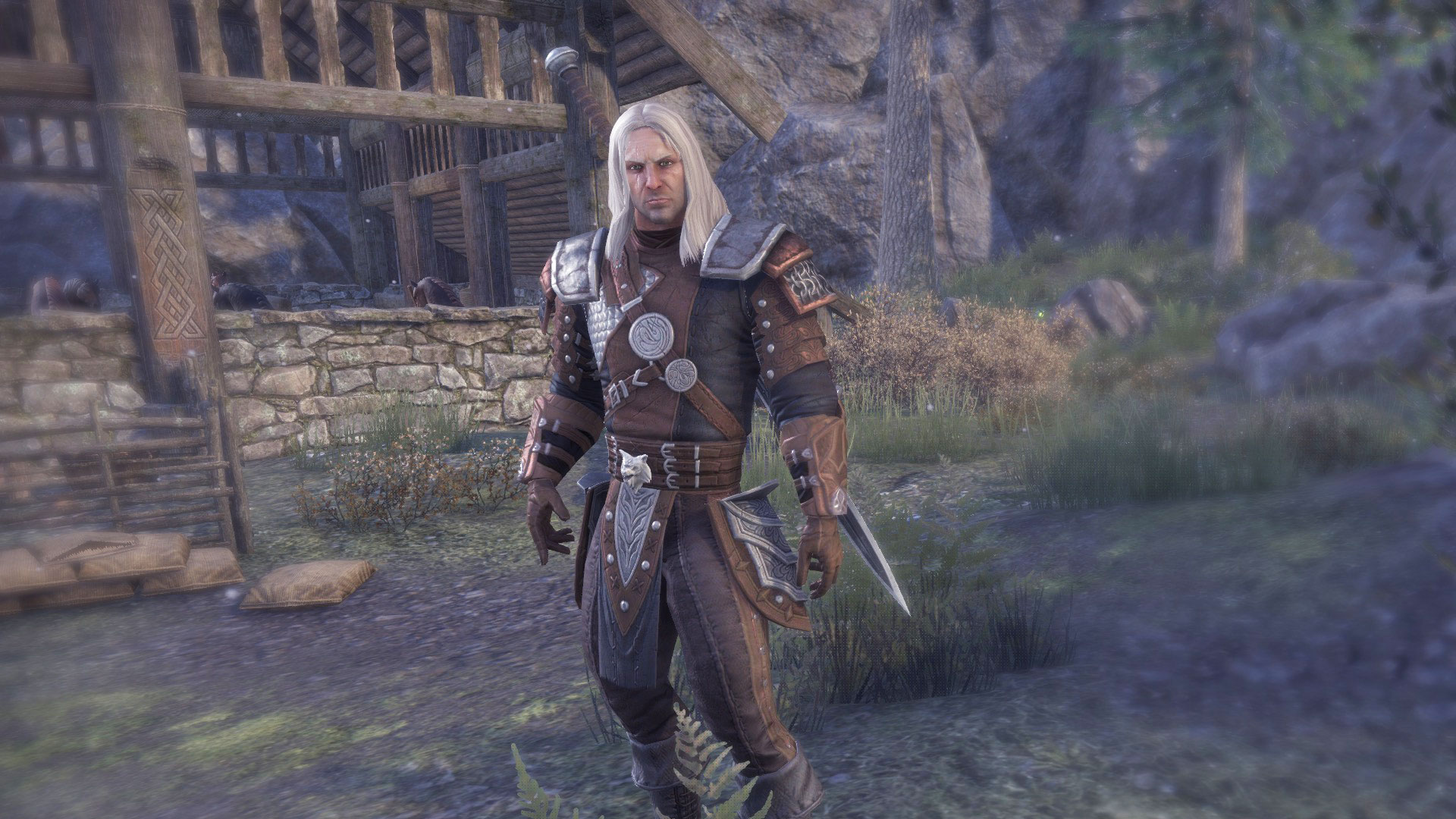 geralt-eso-build2