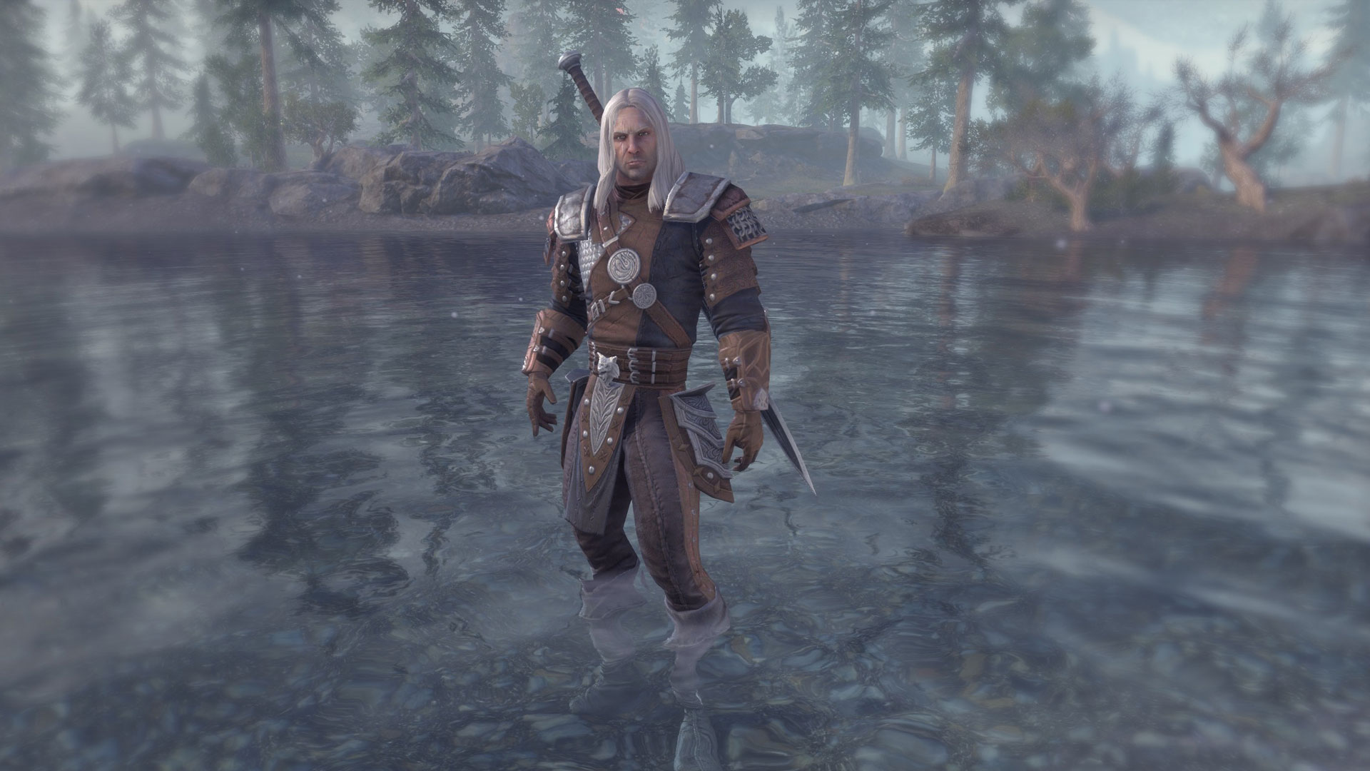 geralt-eso-build3