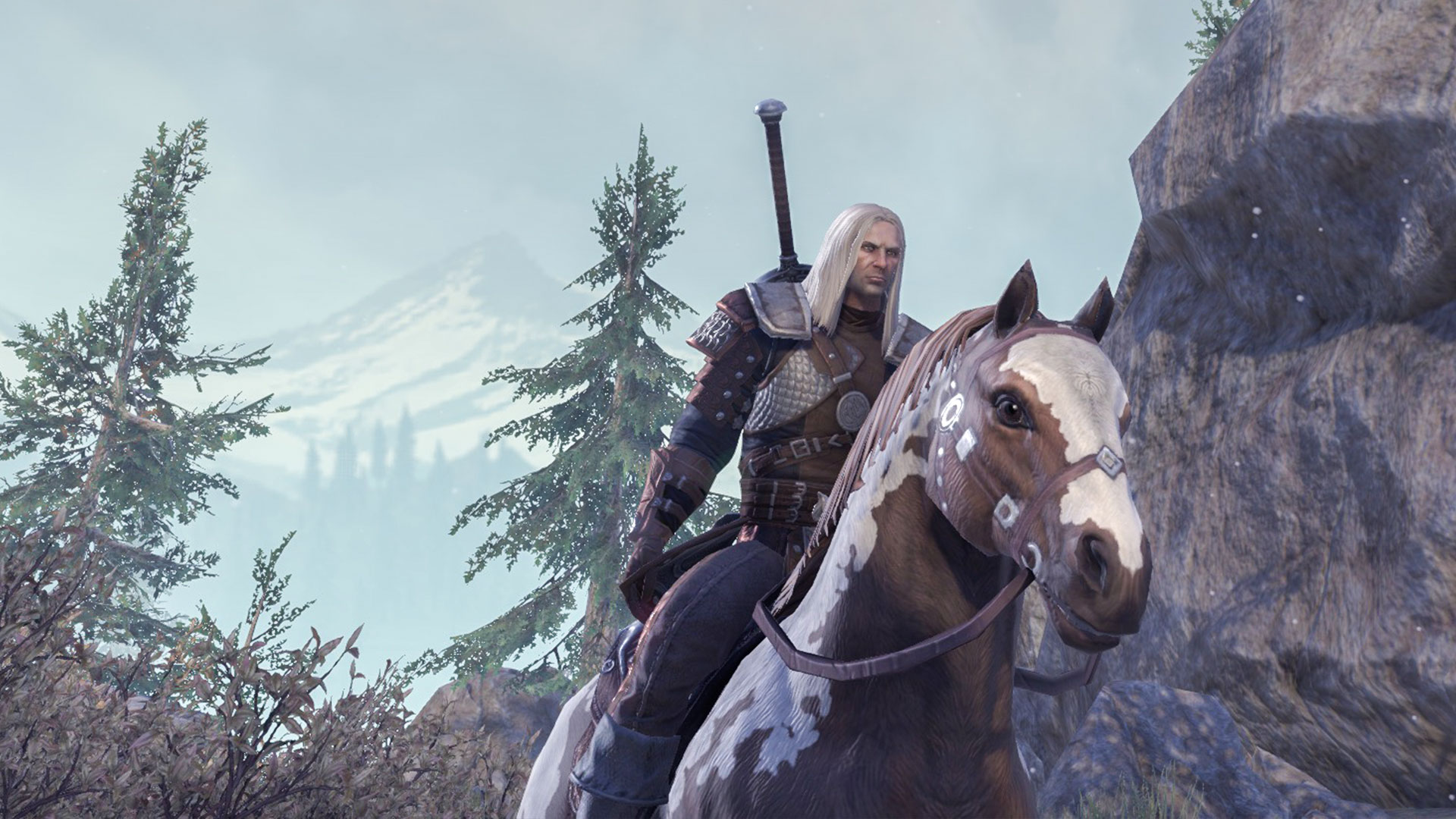 geralt-eso-build5